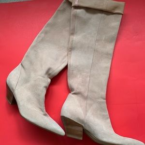Knee High Pointed Toe Boots